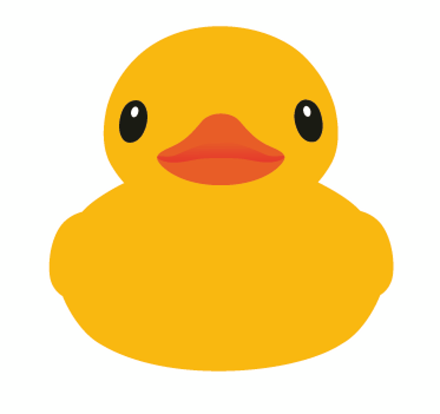 duck